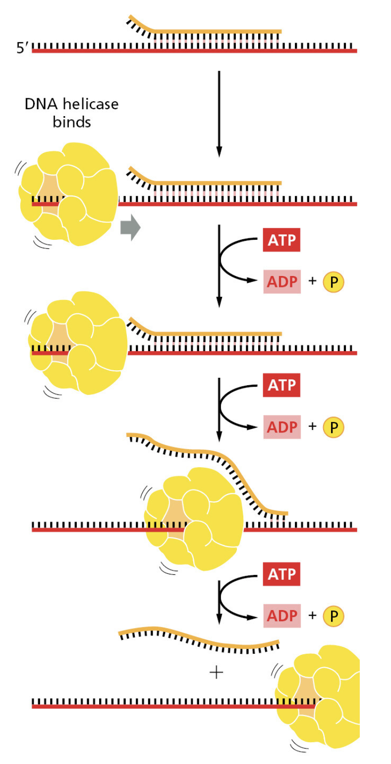 Figure 5-13.png